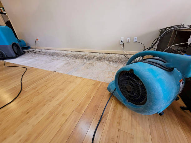 Professional Structural Drying technician working in Ontario, CA